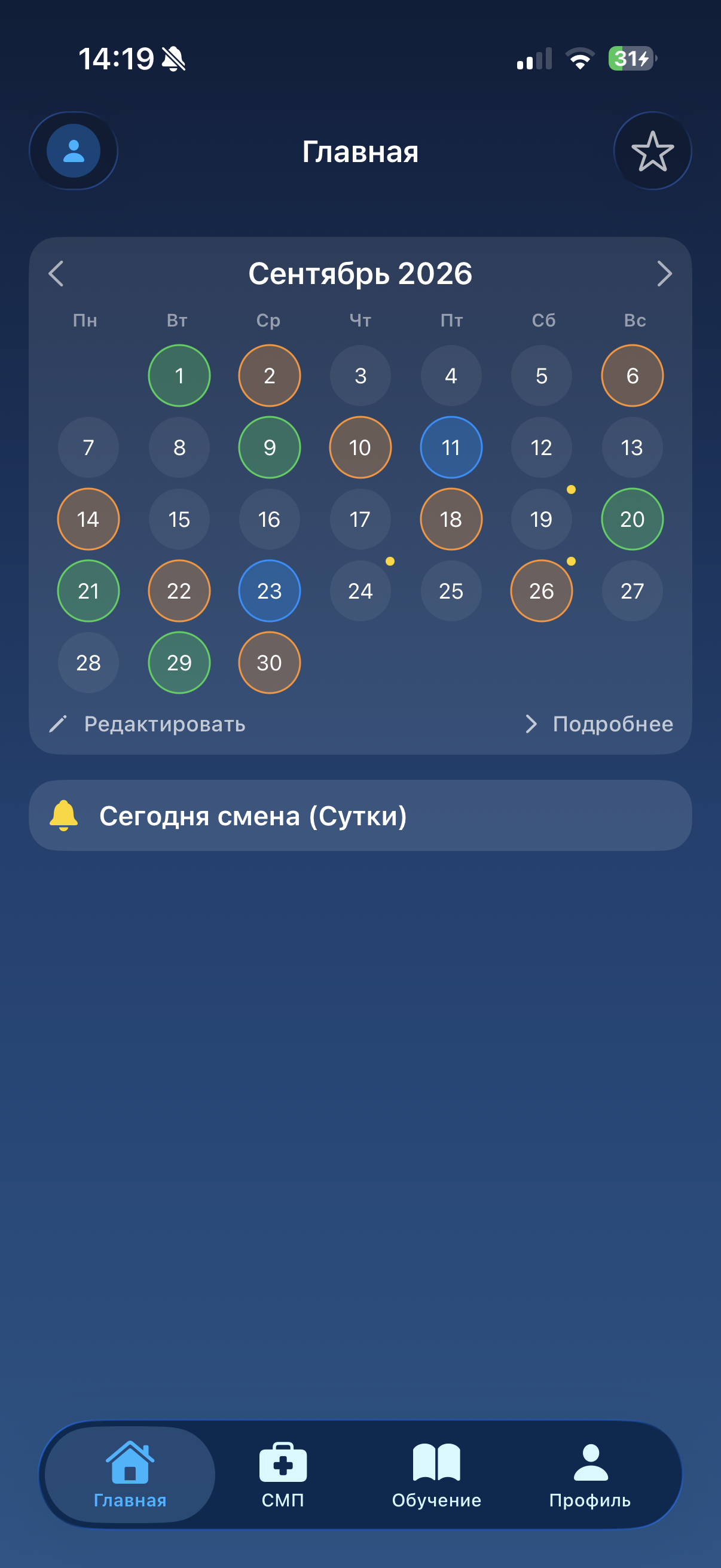 Профиль и текущая неделя в СМП