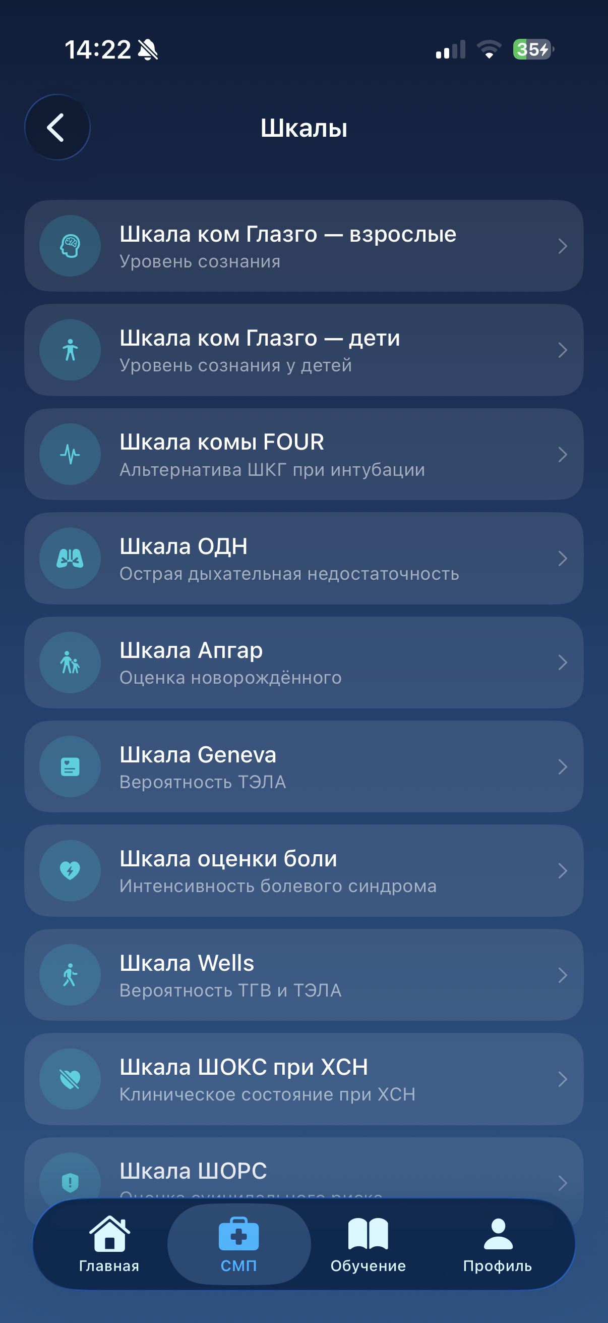 Список оценочных шкал
